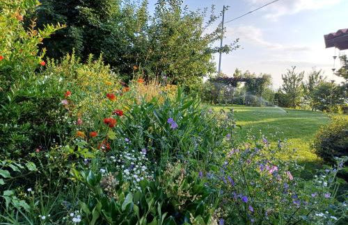 Gatti di Langa - Foto 12