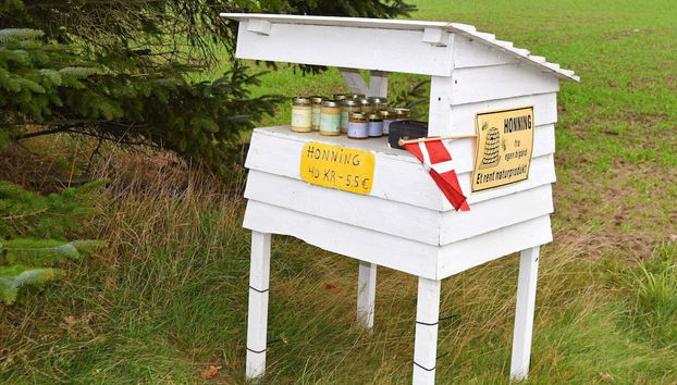 5 Person Holiday Home in Ulfborg - Foto 5