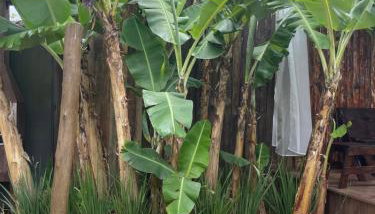 Grand Moriá Pousada Spa - Photo 3