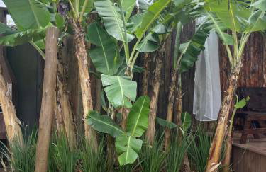 Grand Moriá Pousada Spa - Photo 3