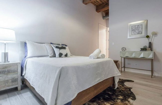 Breathtaking 6 BDR Luxury Condo Downtown Chicago - Foto 31