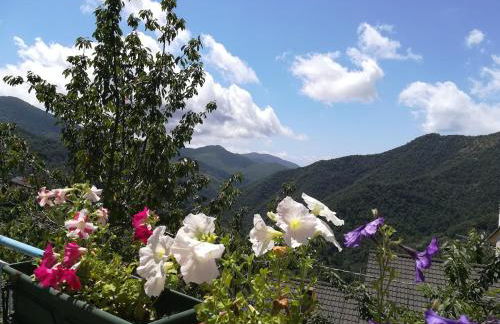 Casa Franca - Apartment in the countryside with garden - Foto 3