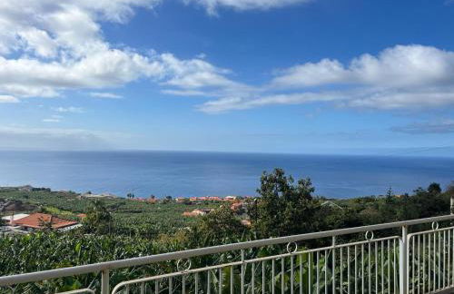 Spring House AL - Foto 2