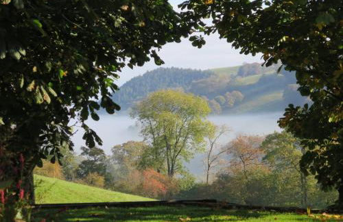 4 Bed in Newtown 48641 - Foto 52