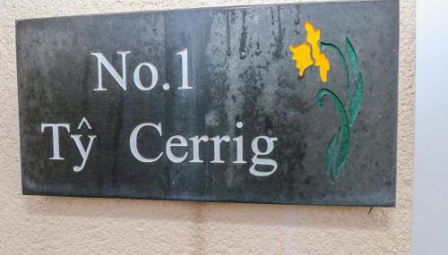 Ty Cerrig - Foto 2