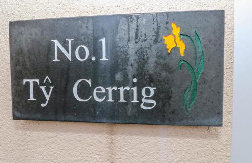 Ty Cerrig - Foto 2