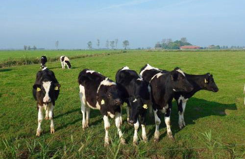 Ferienhof van Vlyten, 45006 - Foto 16