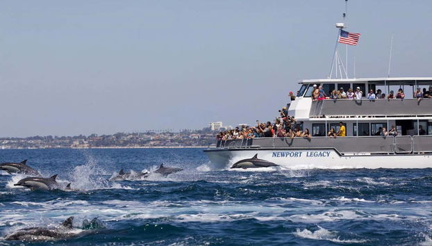 Une promenade impressionnante