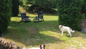 Ferienhaus "Schwarz" - Foto 5