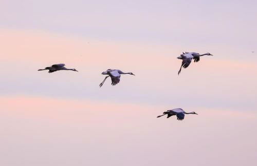Bienenwagen Weitblick, Kamin, Sauna ganzjährig nutzbar - Foto 15