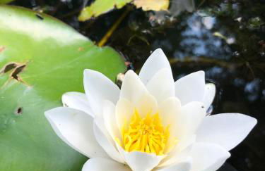 Ferienhaus direkt an der Spree mit Whirlpool und Sauna - Foto 21