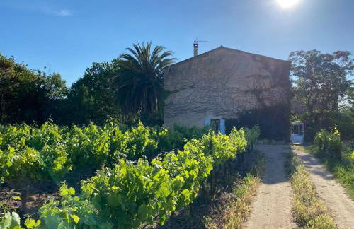 Mas Vigneron - Foto 8