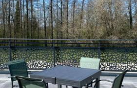 Appartement avec terrasse, proche des 1000 étangs, chapelle Le Corbusier - Foto 27