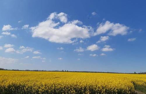 Best of Kollmar - Apartment mit Terrasse für 2 Personen absolut ruhig - Foto 18