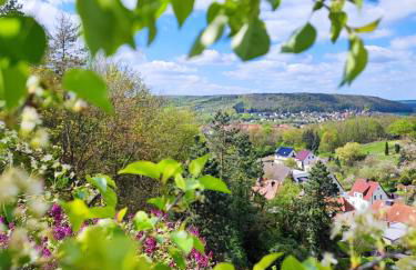 Riesling - Wohnen im Weinberg in der Toskana des Nordens - Foto 42