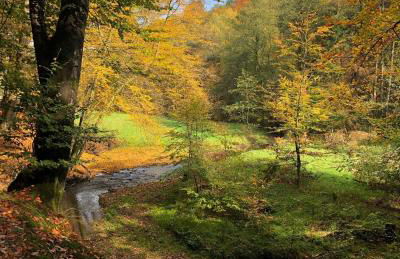 Gartenblick - Foto 24