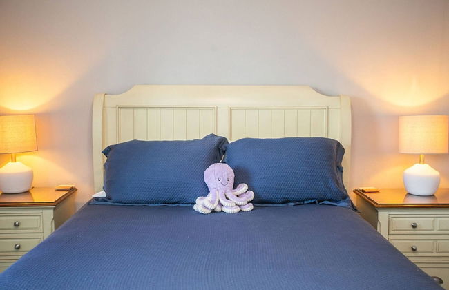 The Octopus Sanctuary - Foto 23