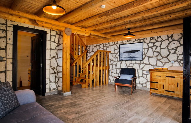 MUKHA ORMANLİ - Photo 4