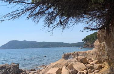 Studio calme 4 personnes 400 m de la plage sur la presqu'île de St mandrier proche toulon - Foto 21