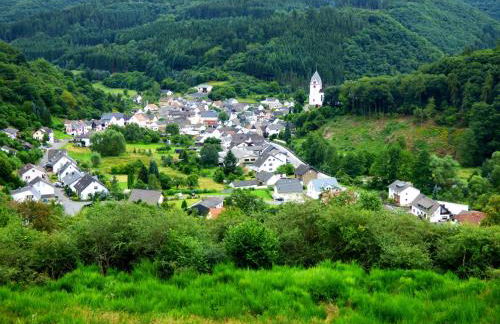 Relaxen am Eifelbach - Foto 6