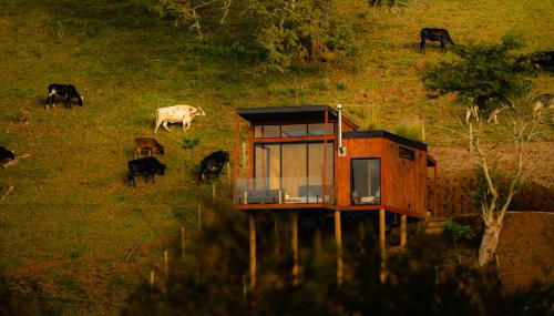 Cabana Tekoá - Teto de vidro e telão de cinema - Foto 1