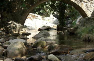 Casas Rurales La Dehesa - Foto 46