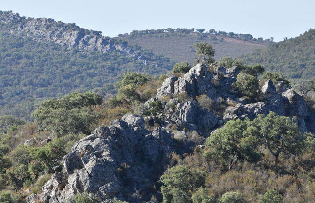 Excursión a Aliseda y Mina Pastora - Foto 2