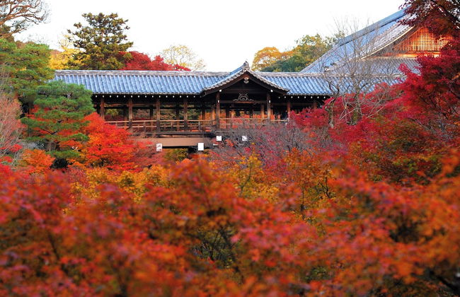 Kyoto Amazing - The Wizard of Oz - Foto 57