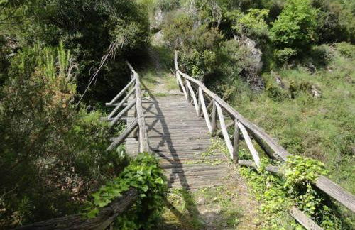 le case dei fiori - Foto 57