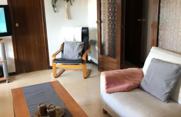 Sota Picasso - Foto 5