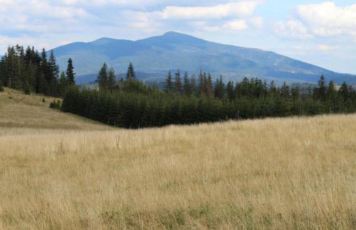 Podbucznik 3 Leskowiec - Foto 42