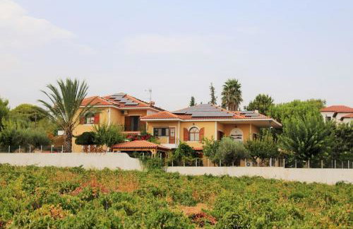 Athens Countryside resort with pool - Foto 42