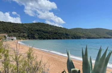 Avocado house - Photo 11