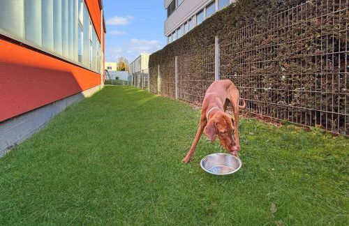 AlbRooms Nürtingen Monteur & Business Privatzimmer - Photo 19