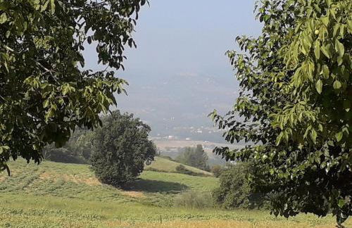 Agriturismo Il Truffarello TODI - Photo 29