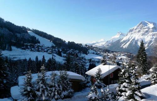 Grangettes - Foto 21