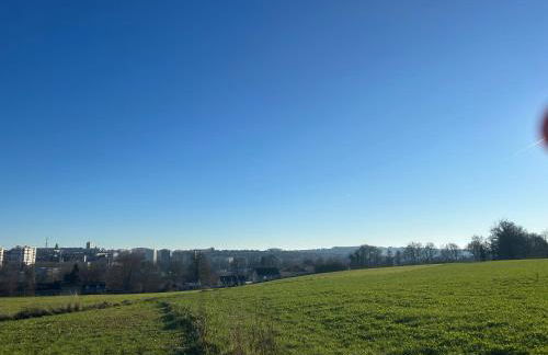 Paisible MAISON familiale - 4 Chambres - 2 SDB - terrasse et jardin - parking privé - Limoges - Foto 28