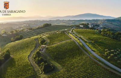 La Ghirlanda Wine Resort - Foto 36