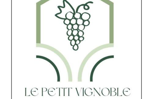 Gite Vigne - stay on a vineyard, overlooking the vines in this 2 bedroomed gite - Foto 8