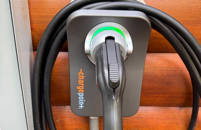 Bear Hunter - Foto 52