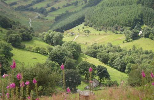 Glyn Mawr Barn - Foto 30
