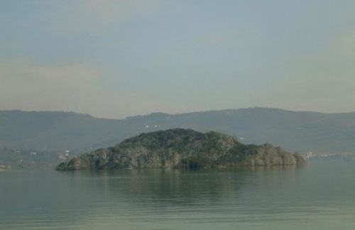 Holiday Home in Pietrafitta Near Lake Trasimeno - Photo 74