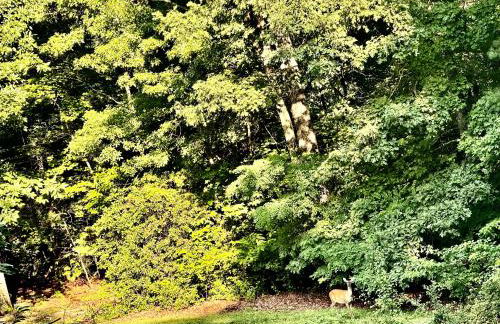 MOONLIGHT MOUNTAIN MANOR - Cedar Hot Tub, Views & Games - Foto 41