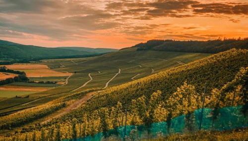 Ferienwohnung Moselmomente - Foto 2