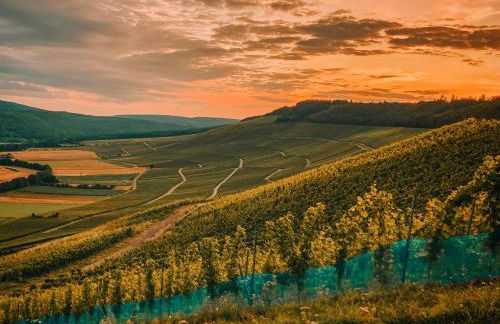 Ferienwohnung Moselmomente - Foto 2