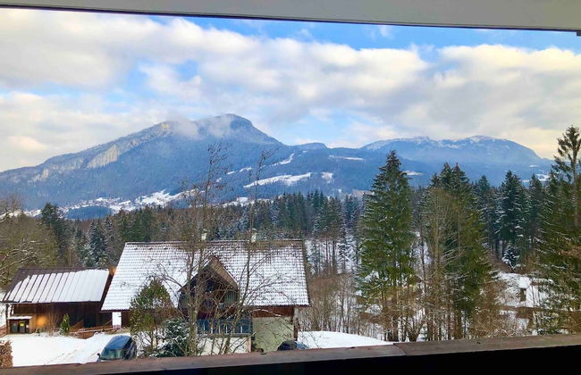 Comfort Apartment Goisernperle - Near Hallstatt - Foto 76