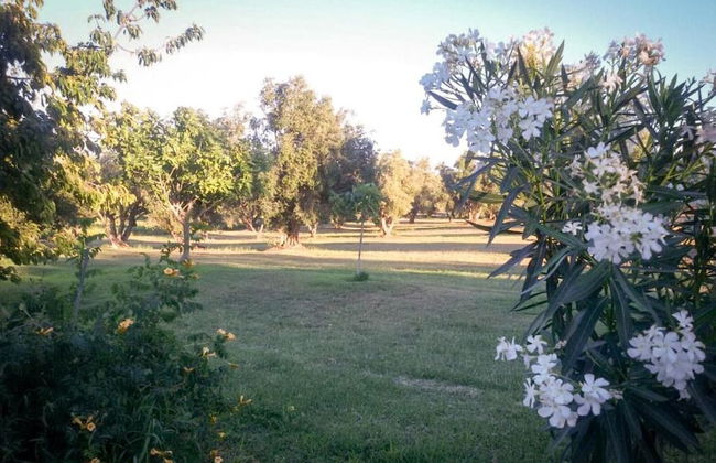 Agriturismo San Matteo - Photo 28