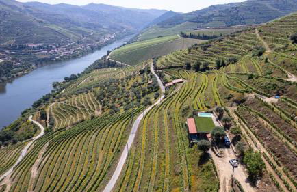 Quinta da Coitada - Alojamento Local - Foto 7