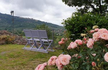 Margherita Holiday Home - Foto 17