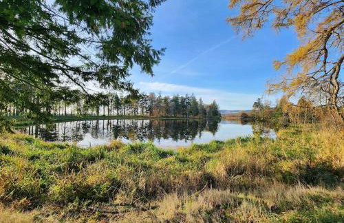 Cosy Apartment in Fettercairn - Foto 16